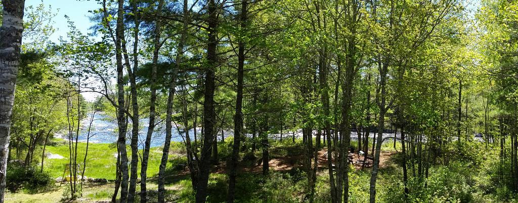 Roseway River Cottages Shelburne Luaran gambar