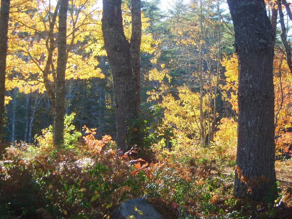 Roseway River Cottages Shelburne Luaran gambar