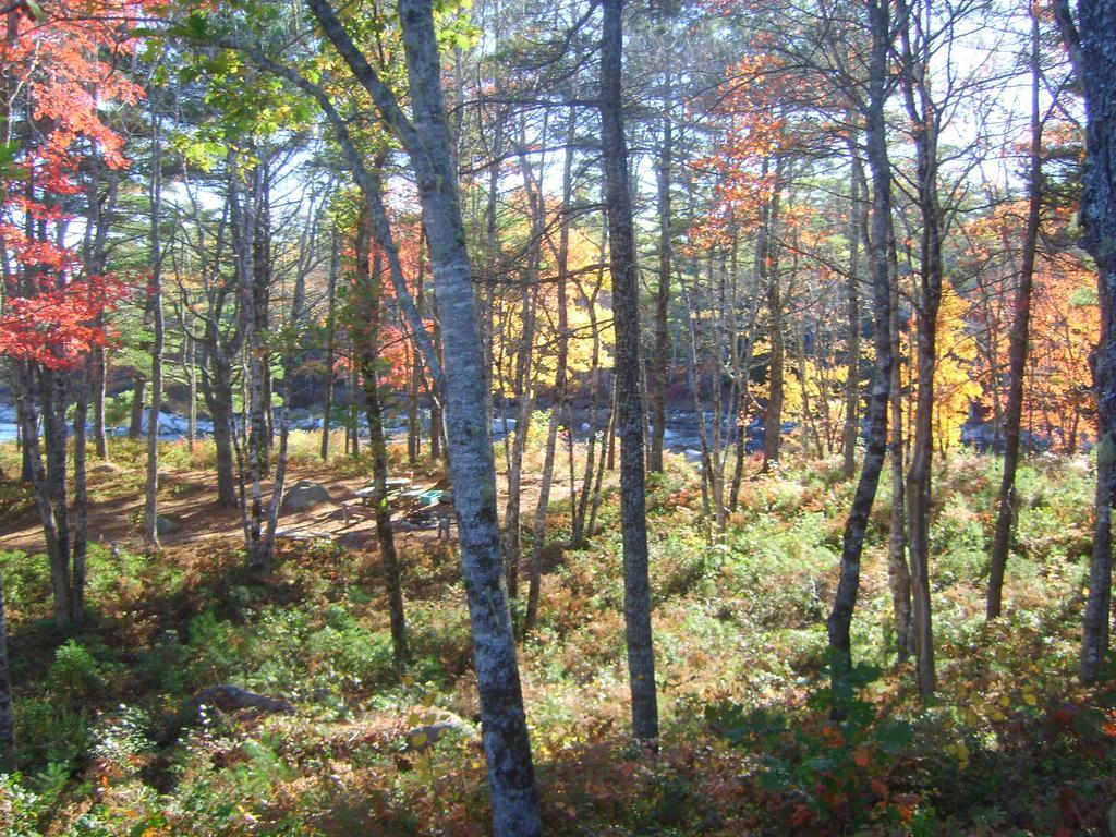 Roseway River Cottages Shelburne Luaran gambar