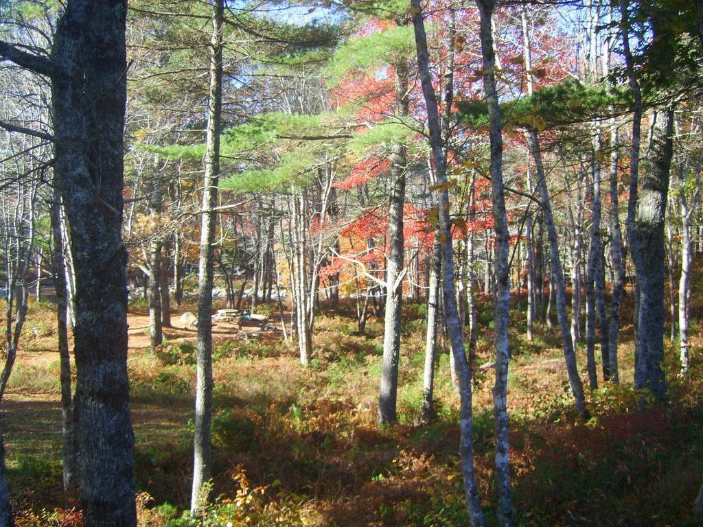 Roseway River Cottages Shelburne Luaran gambar