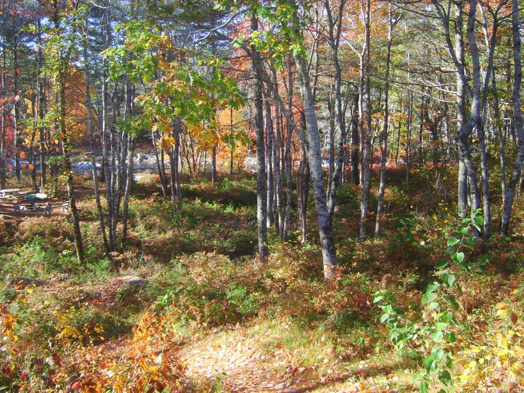 Roseway River Cottages Shelburne Luaran gambar
