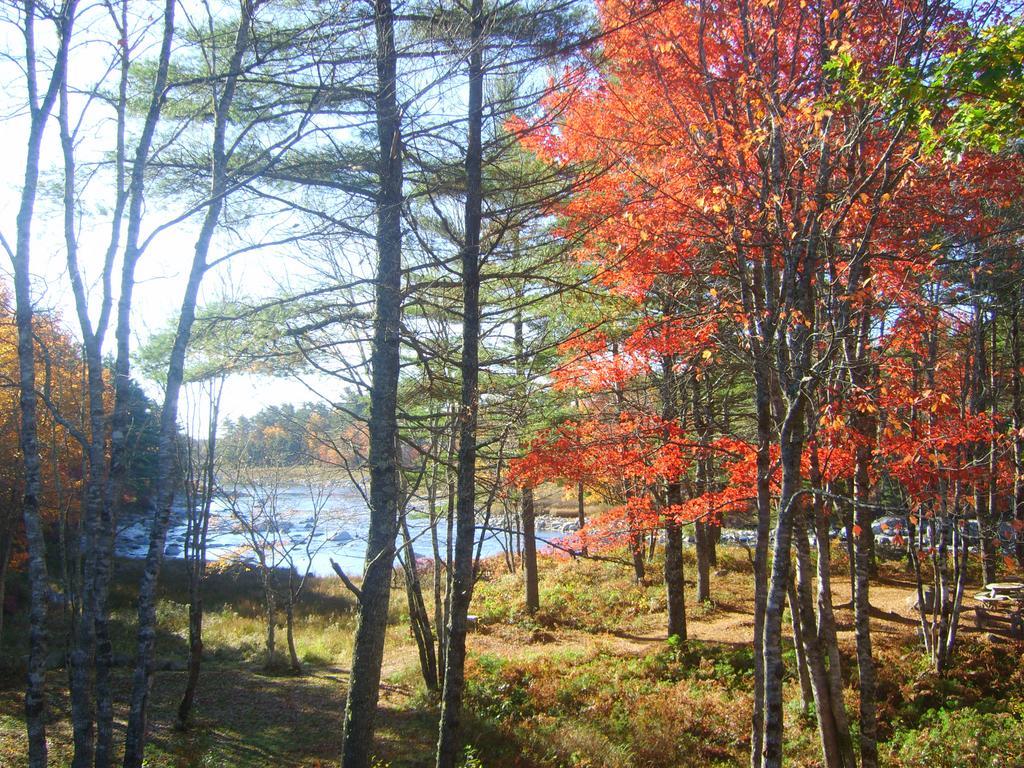 Roseway River Cottages Shelburne Luaran gambar