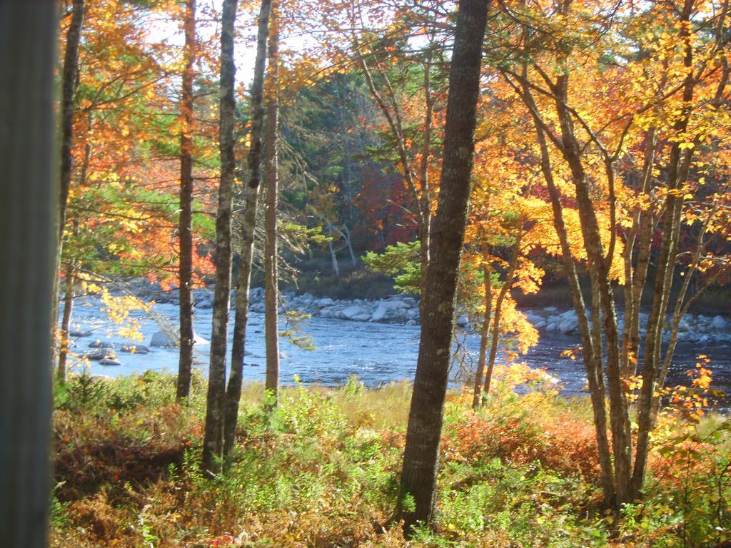 Roseway River Cottages Shelburne Luaran gambar