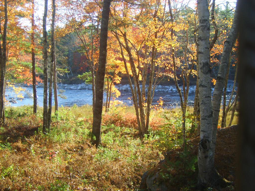 Roseway River Cottages Shelburne Luaran gambar