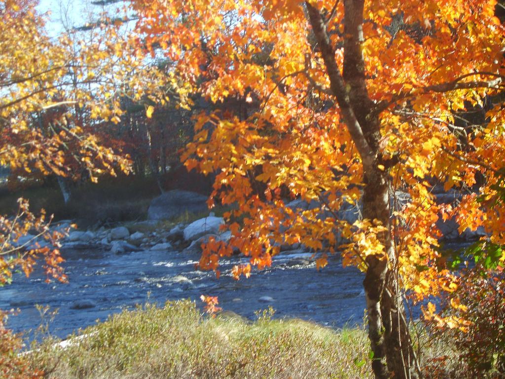 Roseway River Cottages Shelburne Luaran gambar