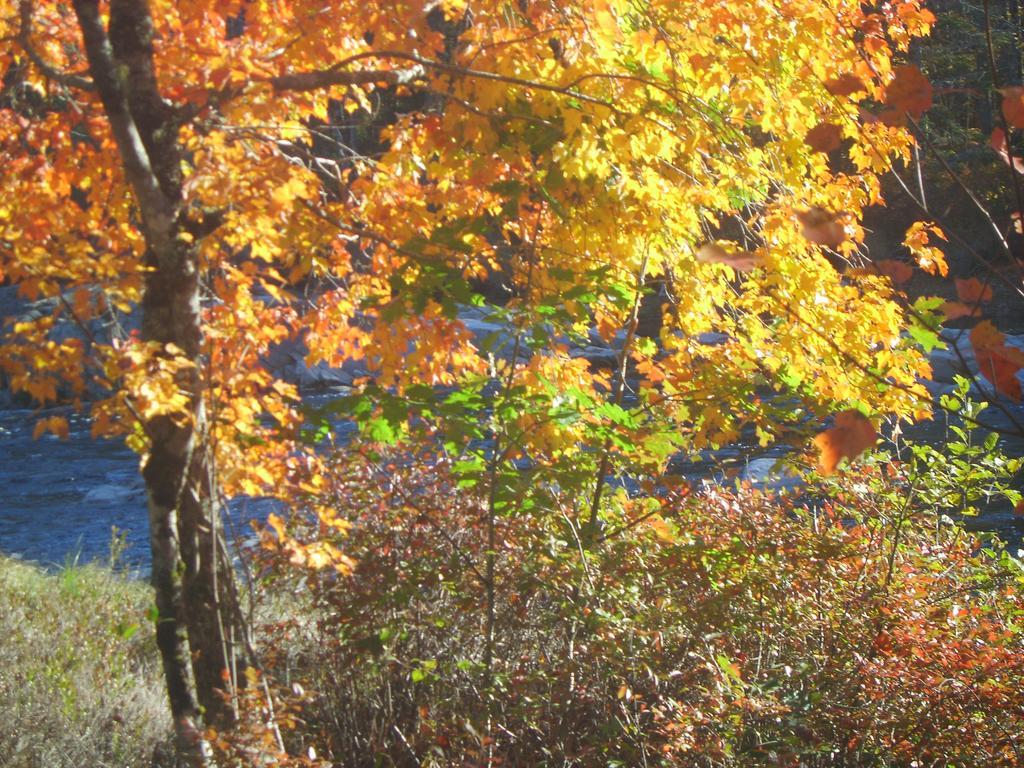 Roseway River Cottages Shelburne Luaran gambar