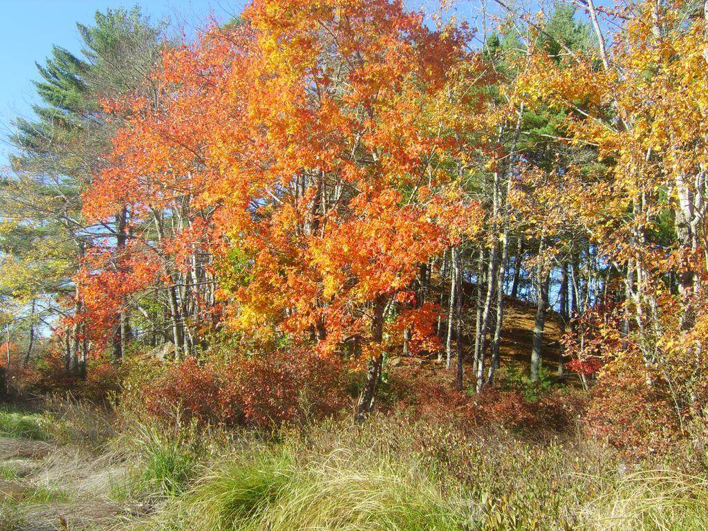 Roseway River Cottages Shelburne Luaran gambar