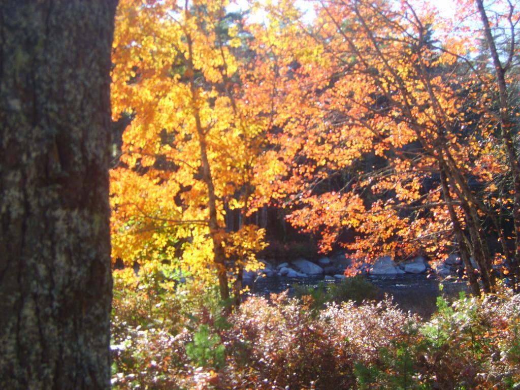Roseway River Cottages Shelburne Luaran gambar