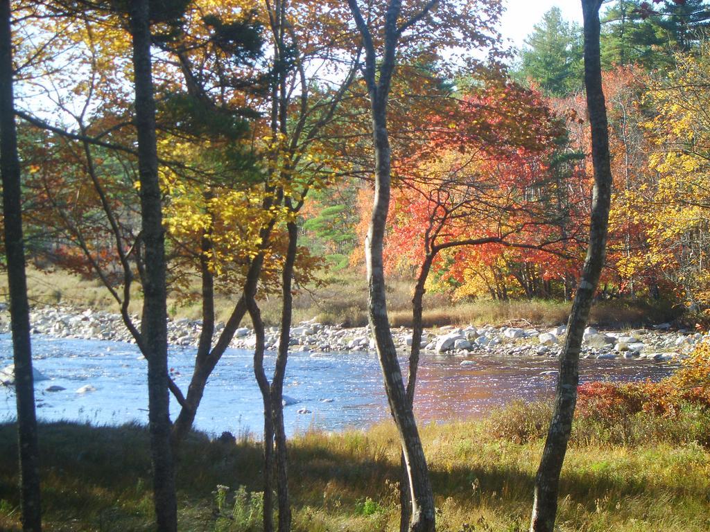 Roseway River Cottages Shelburne Luaran gambar