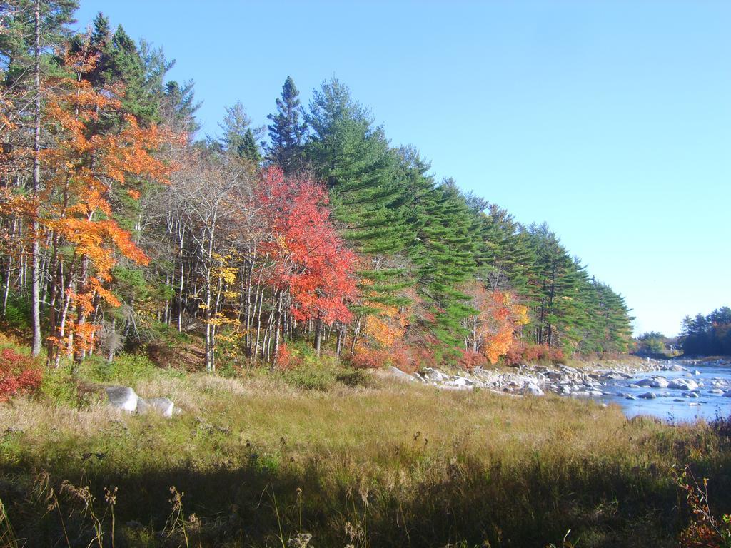 Roseway River Cottages Shelburne Luaran gambar