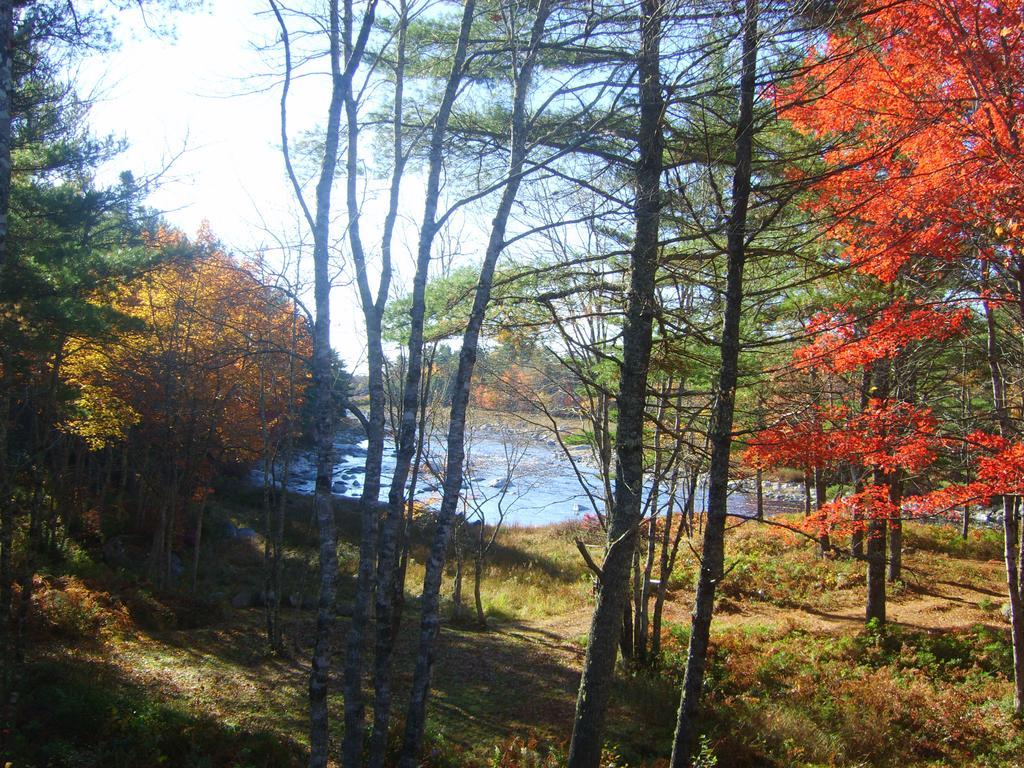 Roseway River Cottages Shelburne Luaran gambar